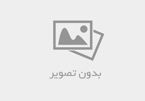همزن برقی کاسه دار راف